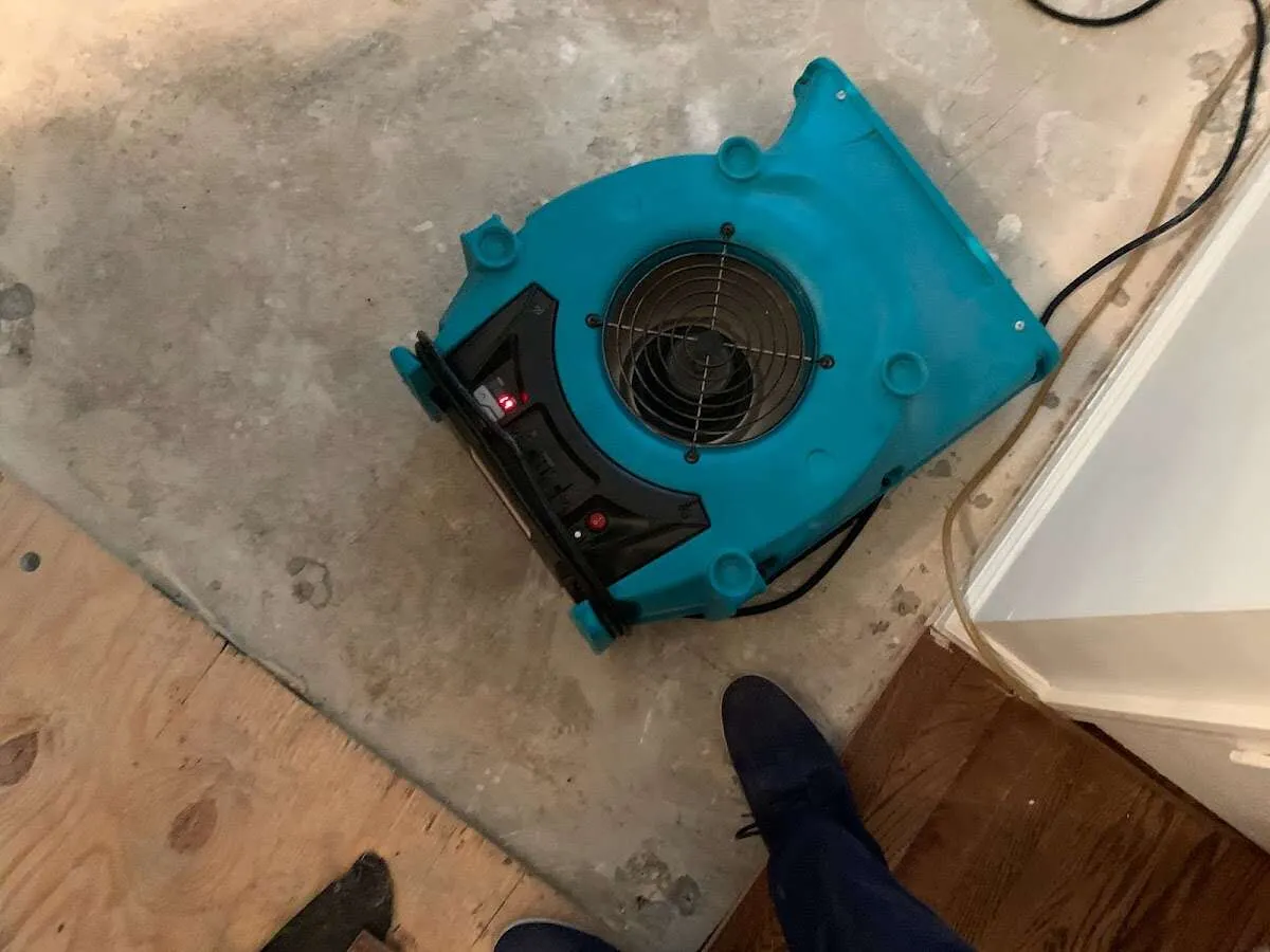 Air mover drying subfloor during Leak Detection & Repair in Easttown